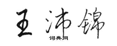 骆恒光王沛锦行书个性签名怎么写