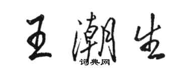 骆恒光王潮生行书个性签名怎么写