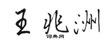 骆恒光王兆洲行书个性签名怎么写