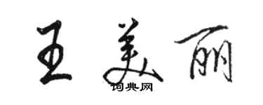 骆恒光王美丽行书个性签名怎么写