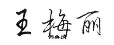 骆恒光王梅丽行书个性签名怎么写