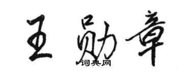 骆恒光王勋章行书个性签名怎么写
