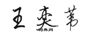骆恒光王奕苇行书个性签名怎么写