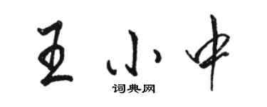 骆恒光王小中行书个性签名怎么写