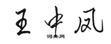 骆恒光王中凤行书个性签名怎么写
