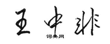 骆恒光王中非行书个性签名怎么写