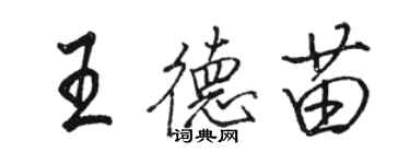 骆恒光王德苗行书个性签名怎么写