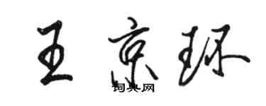 骆恒光王京环行书个性签名怎么写