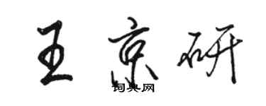 骆恒光王京研行书个性签名怎么写