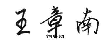 骆恒光王章南行书个性签名怎么写
