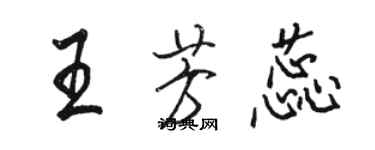 骆恒光王芳蕊行书个性签名怎么写