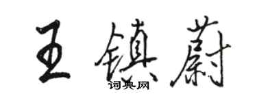 骆恒光王镇蔚行书个性签名怎么写