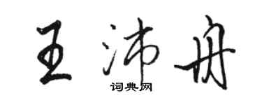骆恒光王沛舟行书个性签名怎么写