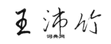 骆恒光王沛竹行书个性签名怎么写