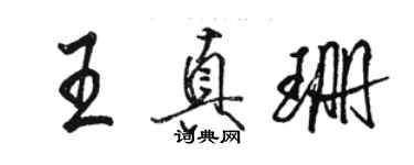 骆恒光王真珊行书个性签名怎么写