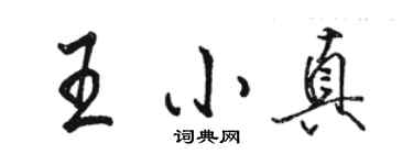 骆恒光王小真行书个性签名怎么写