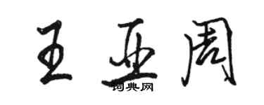 骆恒光王亚周行书个性签名怎么写