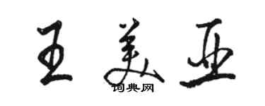 骆恒光王美亚行书个性签名怎么写