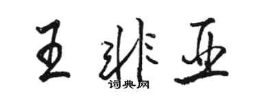 骆恒光王非亚行书个性签名怎么写