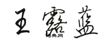骆恒光王露蓝行书个性签名怎么写
