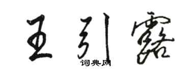 骆恒光王引露行书个性签名怎么写