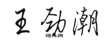 骆恒光王劲潮行书个性签名怎么写