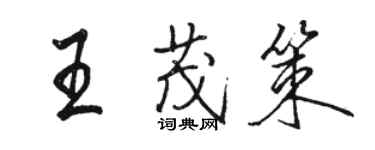 骆恒光王茂策行书个性签名怎么写
