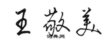 骆恒光王敬美行书个性签名怎么写