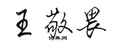 骆恒光王敬畏行书个性签名怎么写