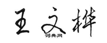 骆恒光王文桦行书个性签名怎么写