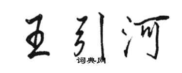 骆恒光王引河行书个性签名怎么写