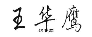 骆恒光王华鹰行书个性签名怎么写