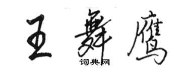 骆恒光王舞鹰行书个性签名怎么写
