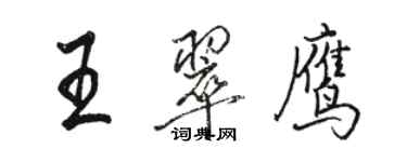 骆恒光王翠鹰行书个性签名怎么写