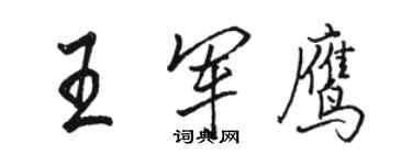 骆恒光王军鹰行书个性签名怎么写