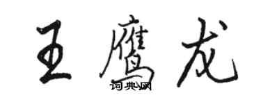 骆恒光王鹰龙行书个性签名怎么写