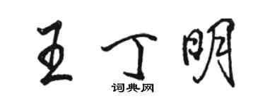 骆恒光王丁明行书个性签名怎么写