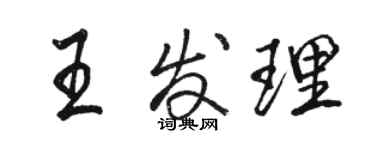 骆恒光王发理行书个性签名怎么写