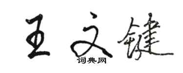 骆恒光王文键行书个性签名怎么写