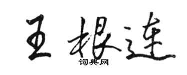 骆恒光王根连行书个性签名怎么写