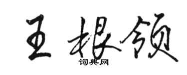 骆恒光王根领行书个性签名怎么写
