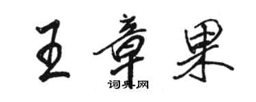 骆恒光王章果行书个性签名怎么写