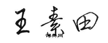 骆恒光王素田行书个性签名怎么写