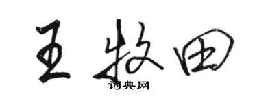 骆恒光王牧田行书个性签名怎么写