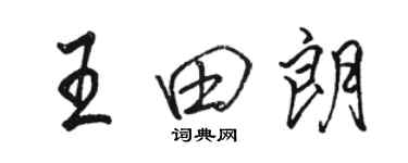 骆恒光王田朗行书个性签名怎么写