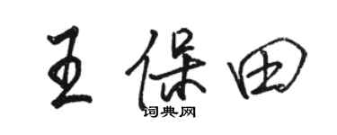 骆恒光王保田行书个性签名怎么写