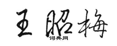 骆恒光王昭梅行书个性签名怎么写