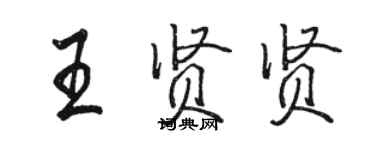 骆恒光王贤贤行书个性签名怎么写