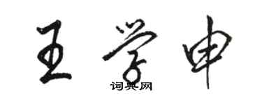 骆恒光王学申行书个性签名怎么写