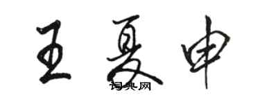 骆恒光王夏申行书个性签名怎么写